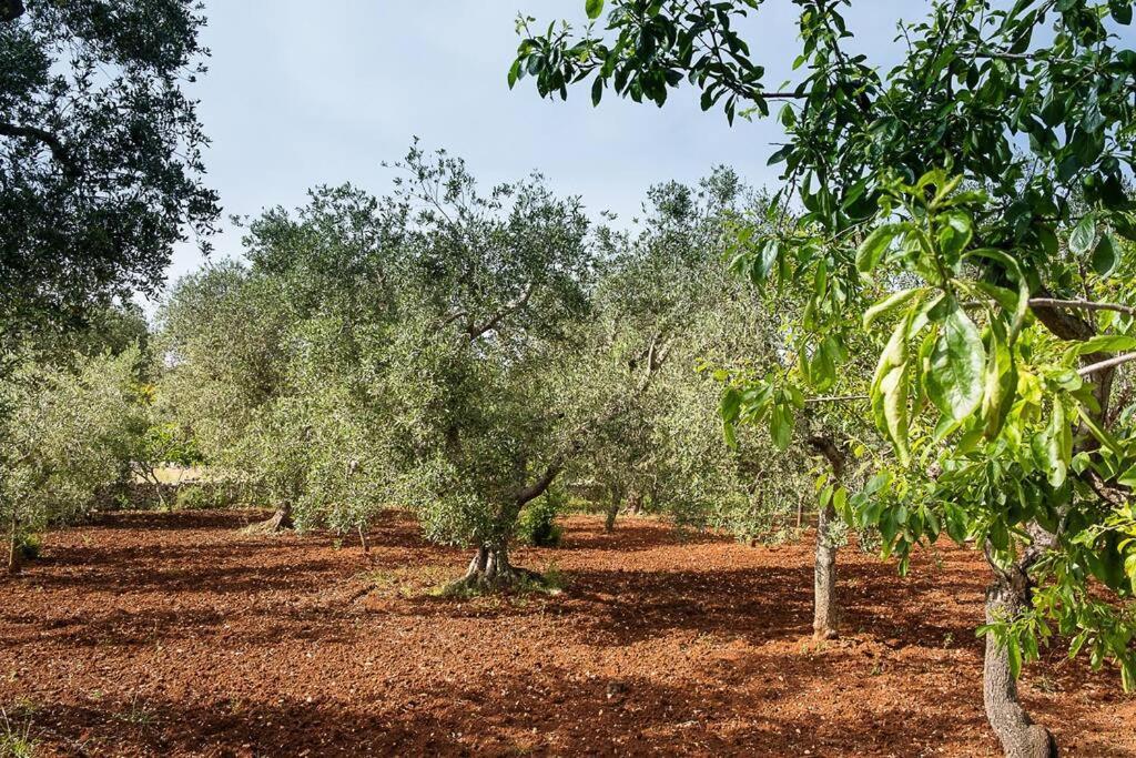 Villetta Da Zio Marcello Ostuni Exterior foto